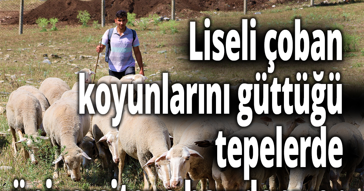 Elinde değneği, sırtında okul çantası, önünde koyunları