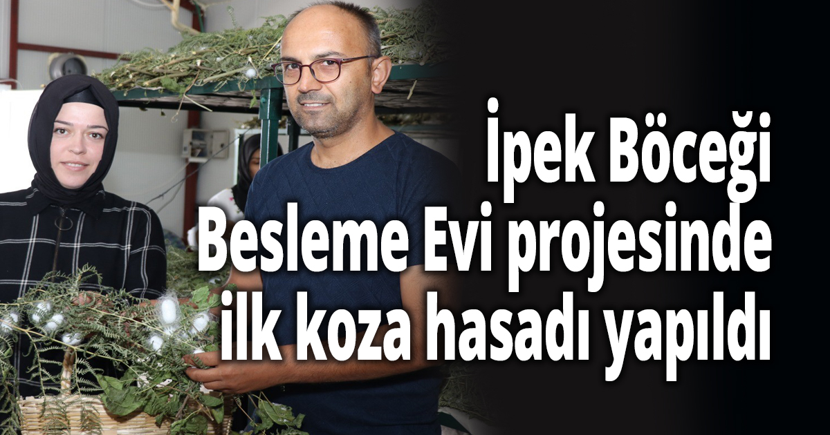 İpek Böceği Besleme Evi projesinde ilk koza hasadı yapıldı