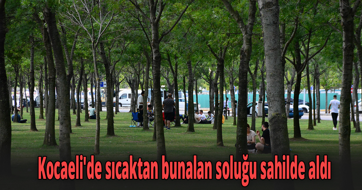 Kocaeli'de sıcaktan bunalan soluğu sahilde aldı