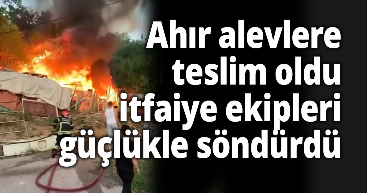 Ahır alevlere teslim oldu