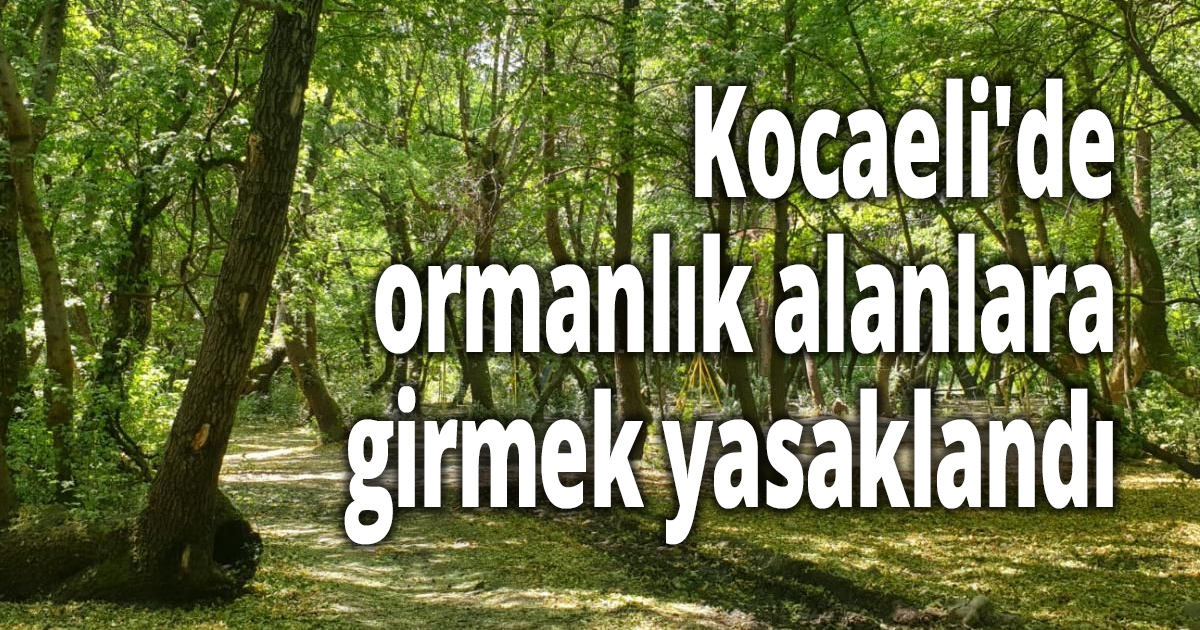 Kocaeli'de 31 Ağustos’a kadar ormanlık alanlara girmek yasaklandı