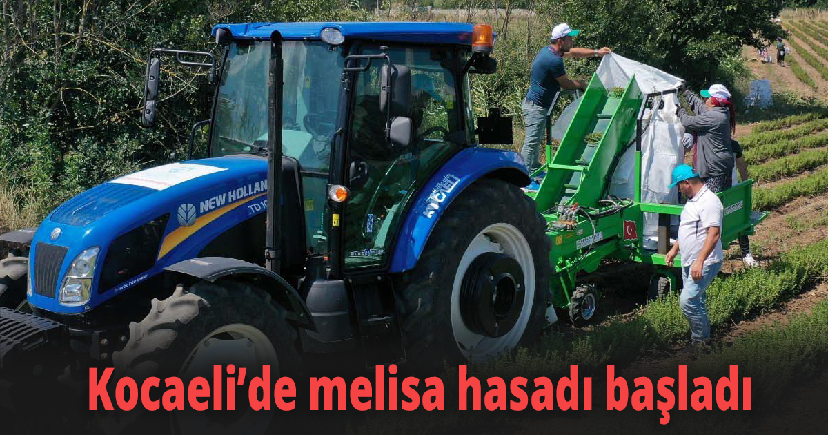 Kocaeli’de melisa hasadı başladı
