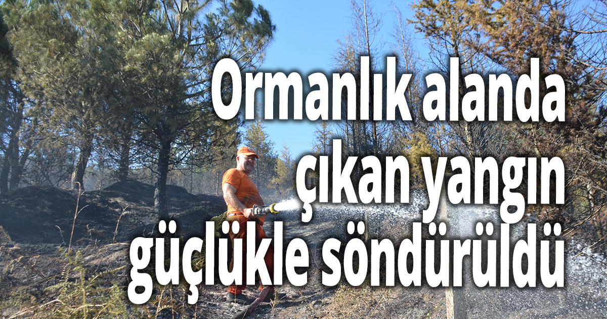 Kocaeli’de ormanlık alanda çıkan yangın güçlükle söndürüldü