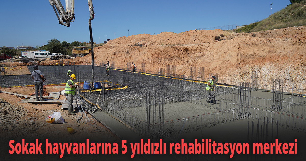 Sokak hayvanlarına 5 yıldızlı rehabilitasyon merkezi