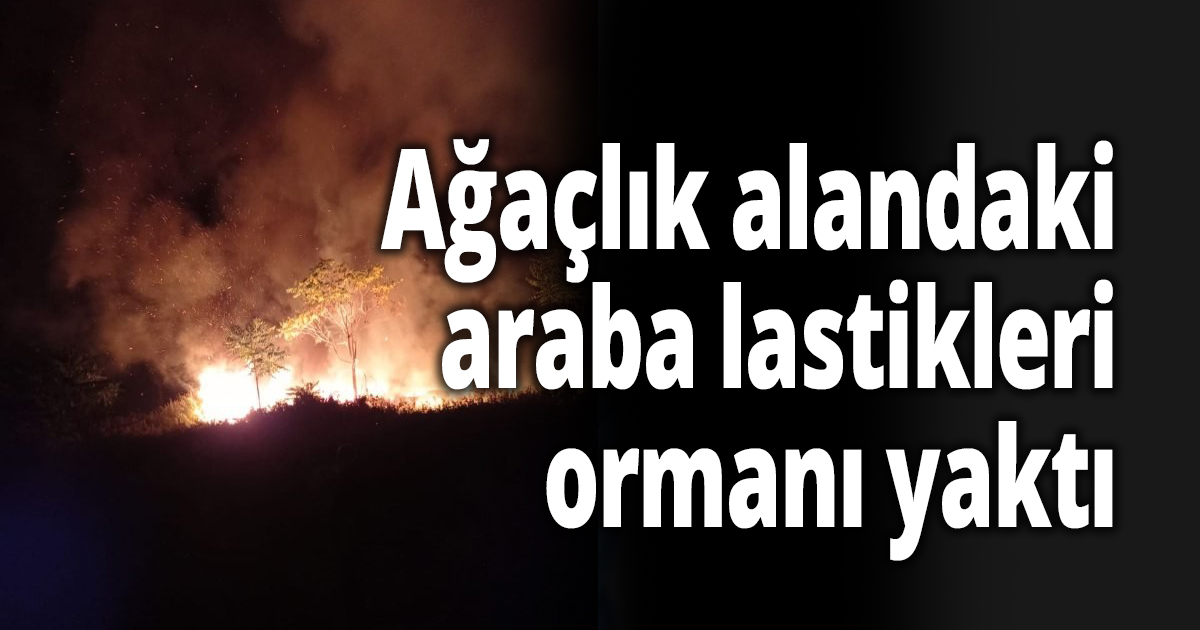 Ağaçlık alandaki araba lastikleri ormanı yaktı