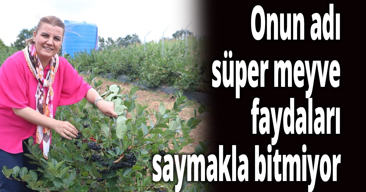 Onun adı süper meyve, faydaları saymakla bitmiyor