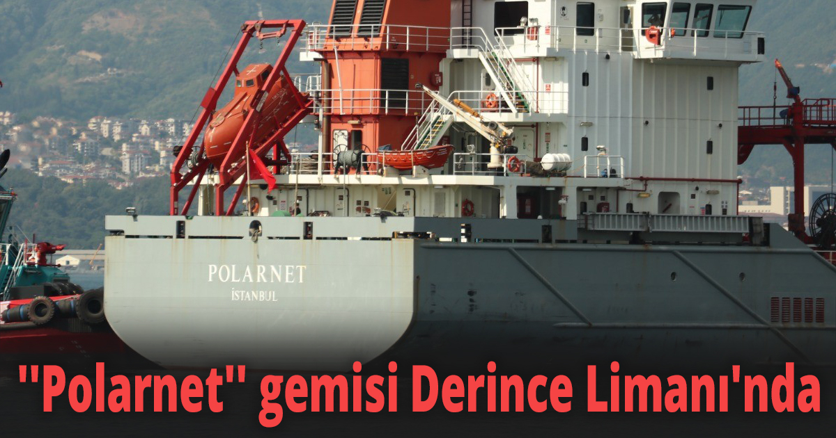 12 bin ton mısır yüklü ''Polarnet'' gemisi Derince Limanı'nda