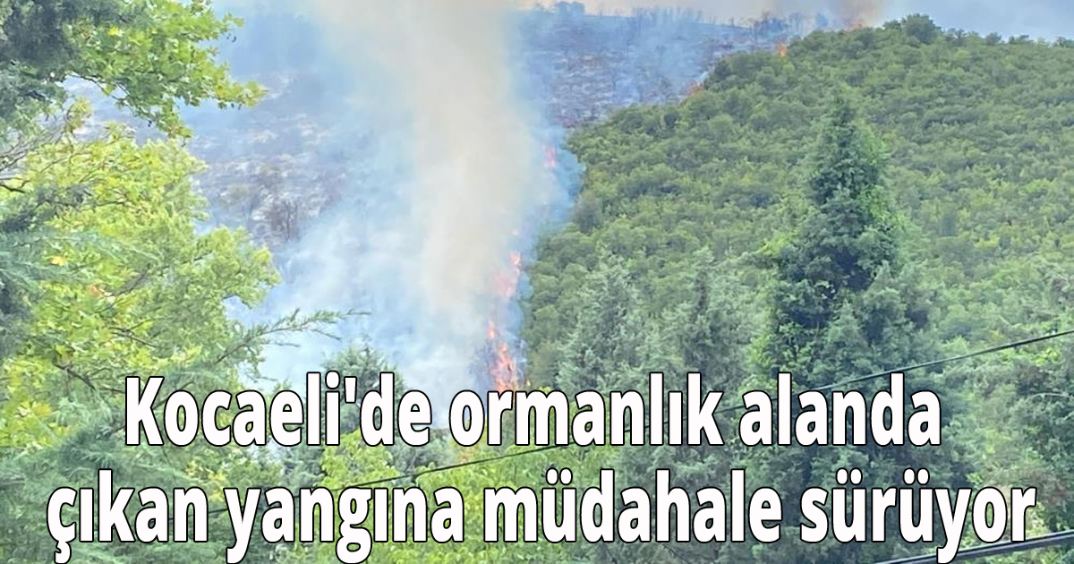Kocaeli'de ormanlık alanda çıkan yangına müdahale sürüyor