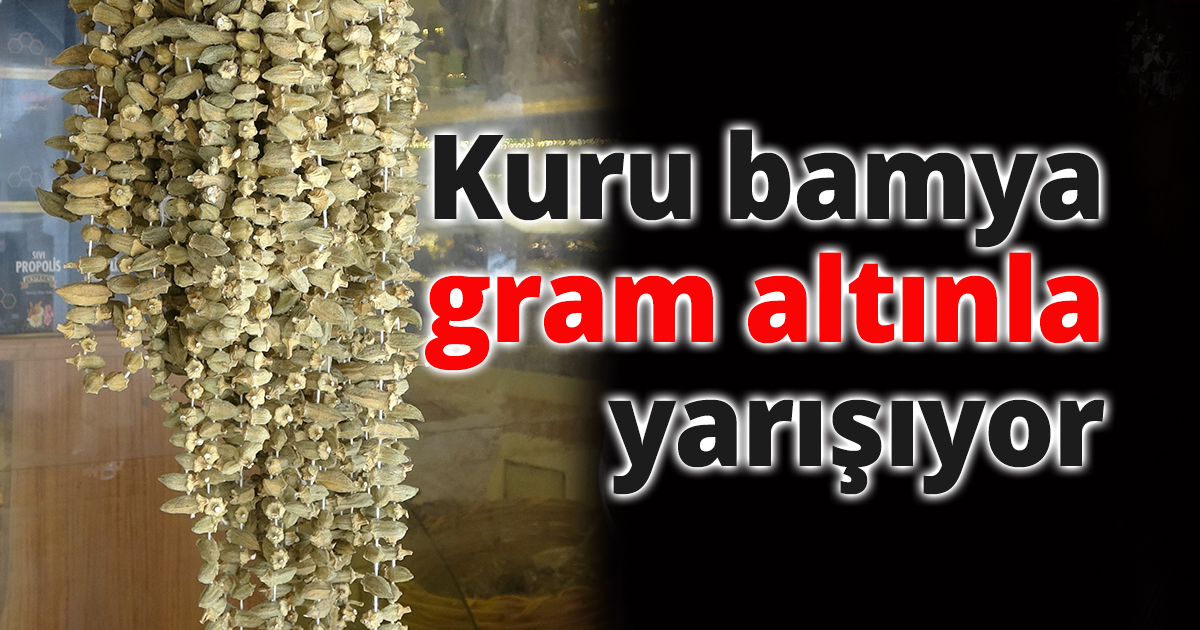 Kuru bamya gram altınla yarışıyor
