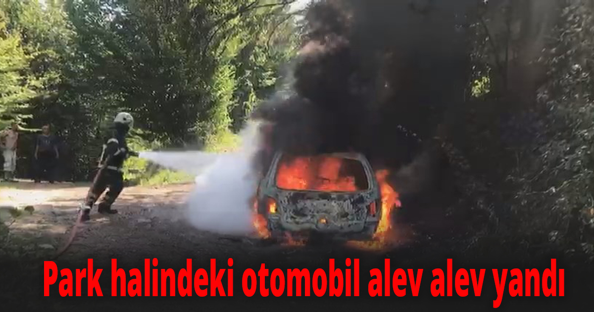 Park halindeki otomobil alev alev yandı