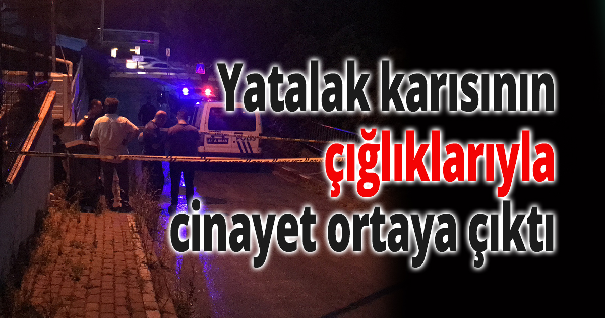 Yatalak karısının çığlıklarıyla cinayet ortaya çıktı