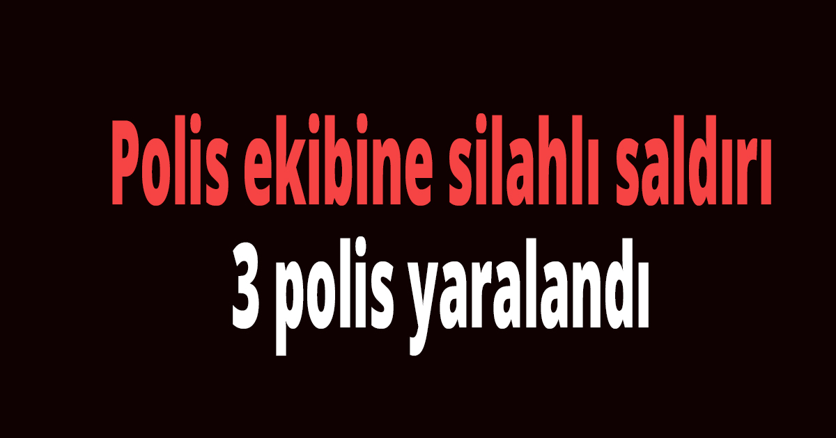 Polis ekibine silahlı saldırı