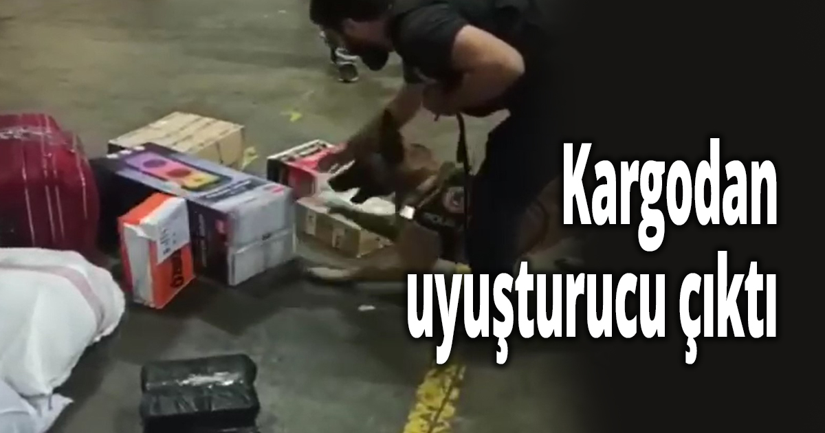 Kargodan uyuşturucu çıktı