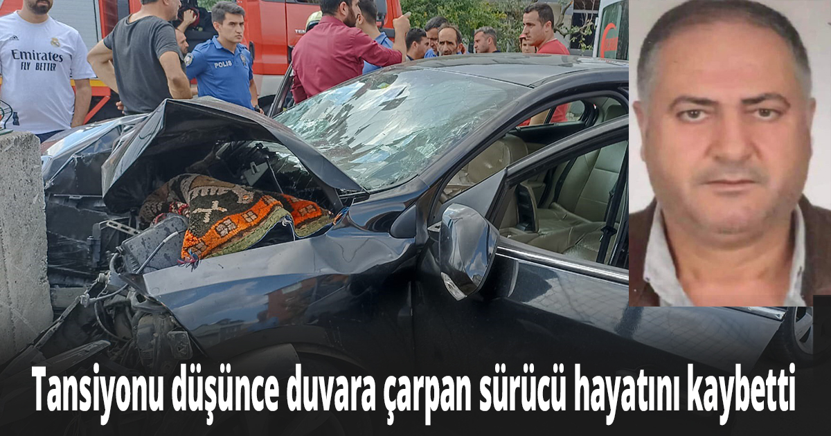 Tansiyonu düşünce duvara çarpan sürücü hayatını kaybetti