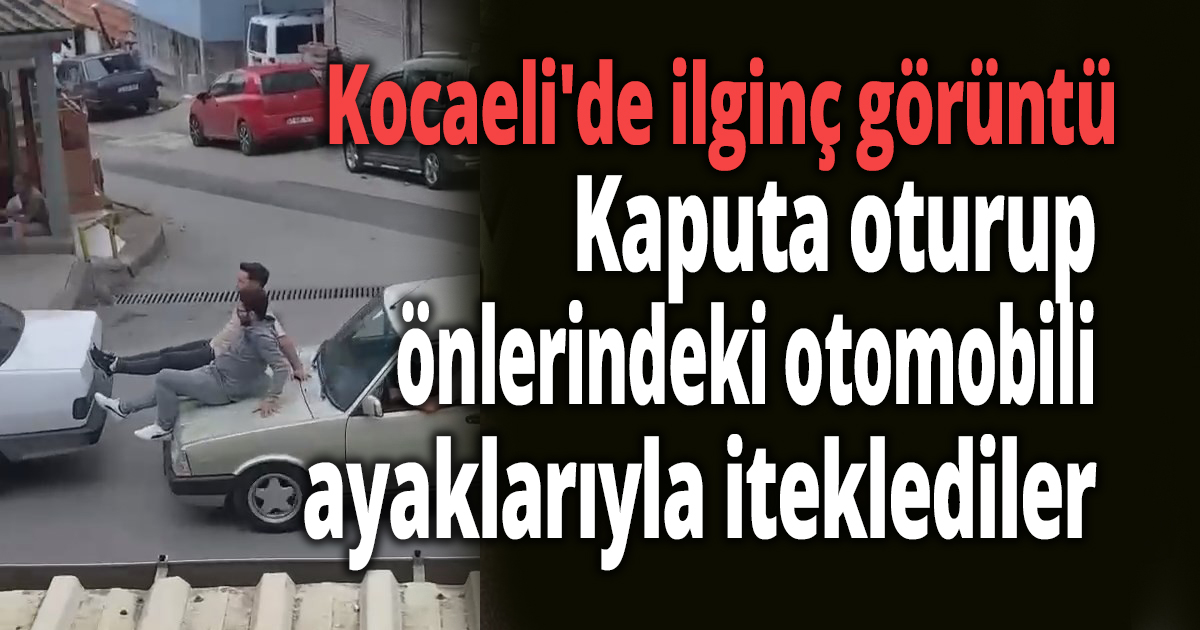 Kocaeli'de ilginç görüntü