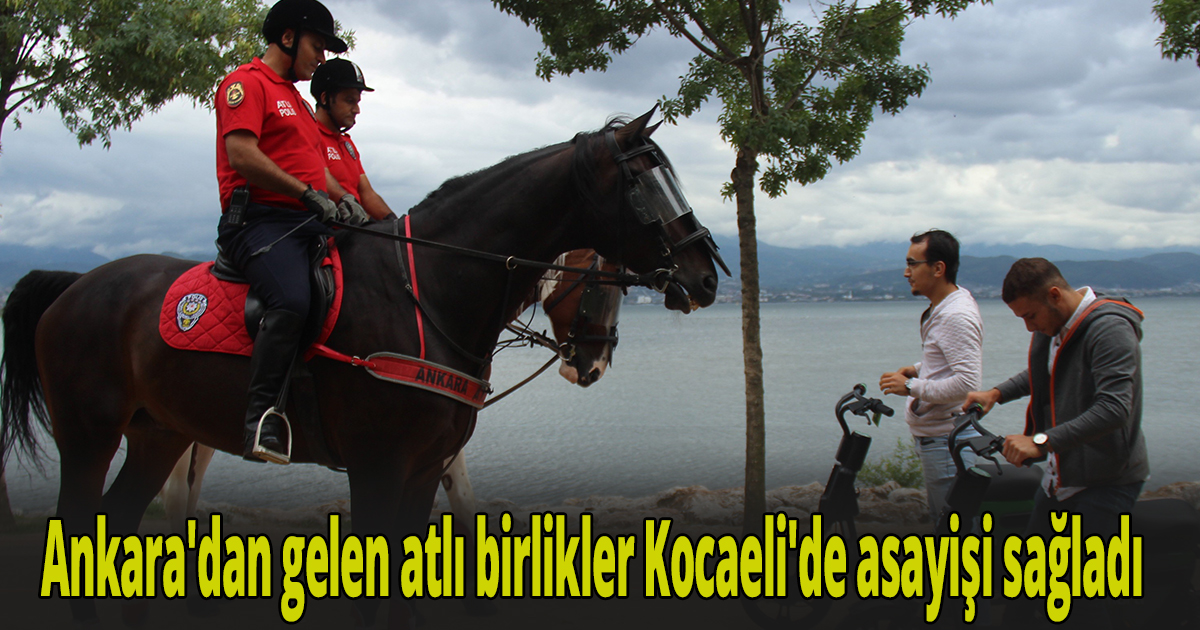 Ankara'dan gelen atlı birlikler Kocaeli'de asayişi sağladı