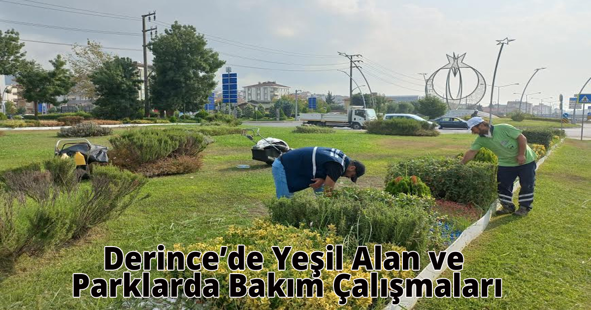 Derince’de Yeşil Alan ve Parklarda Bakım Çalışmaları