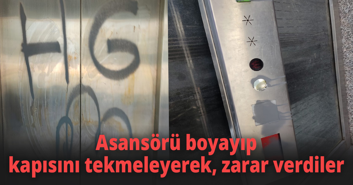 Asansörü boyayıp kapısını tekmeleyerek, zarar verdiler