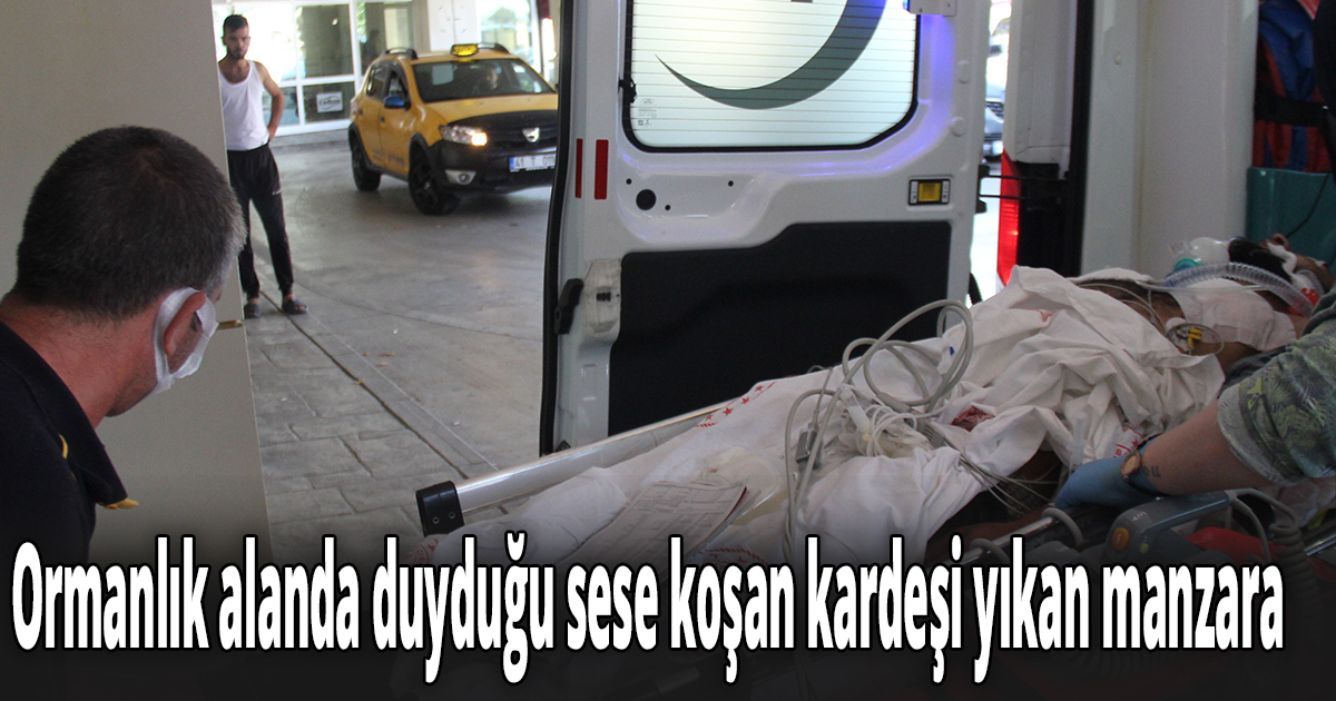 Ormanlık alanda duyduğu sese koşan kardeşi yıkan manzara