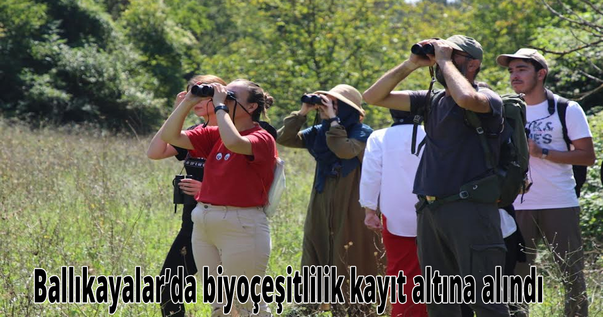 Ballıkayalar’da biyoçeşitlilik kayıt altına alındı