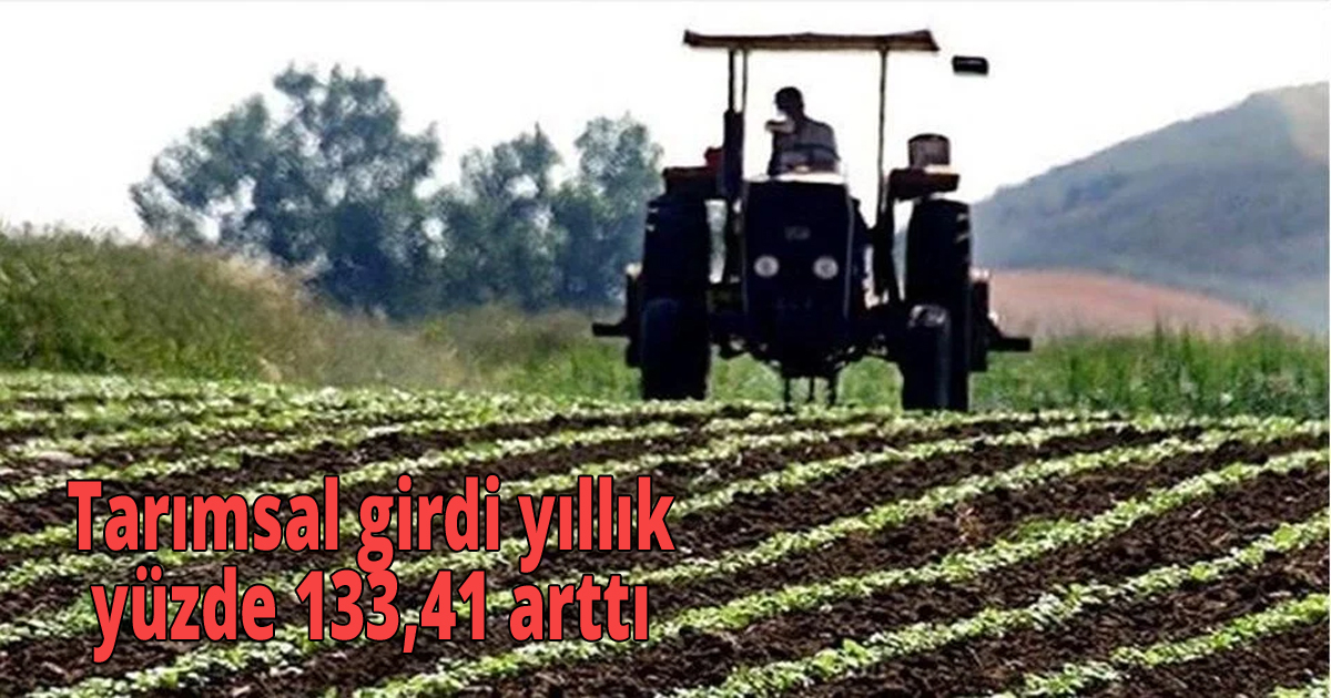 Tarımsal girdi yıllık yüzde  133,41 arttı