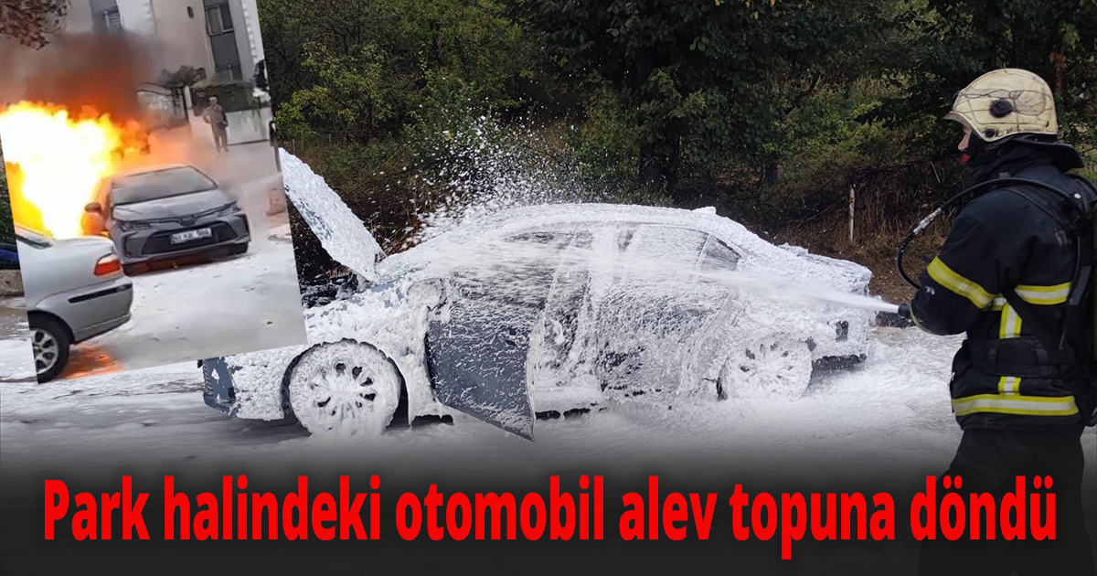 Park halindeki otomobil alev topuna döndü