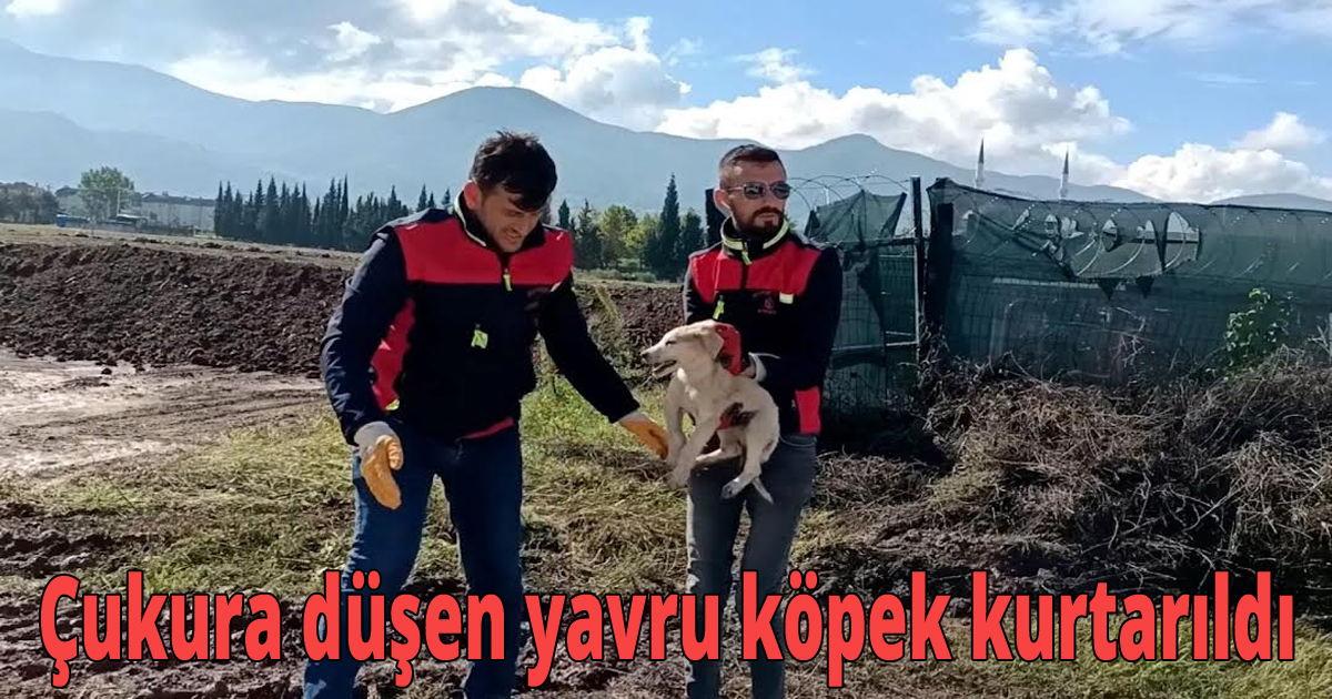 Çukura düşen yavru köpek kurtarıldı
