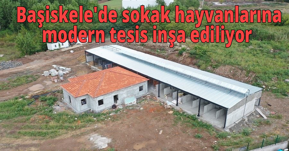  Başiskele'de sokak hayvanlarına modern tesis inşa ediliyor