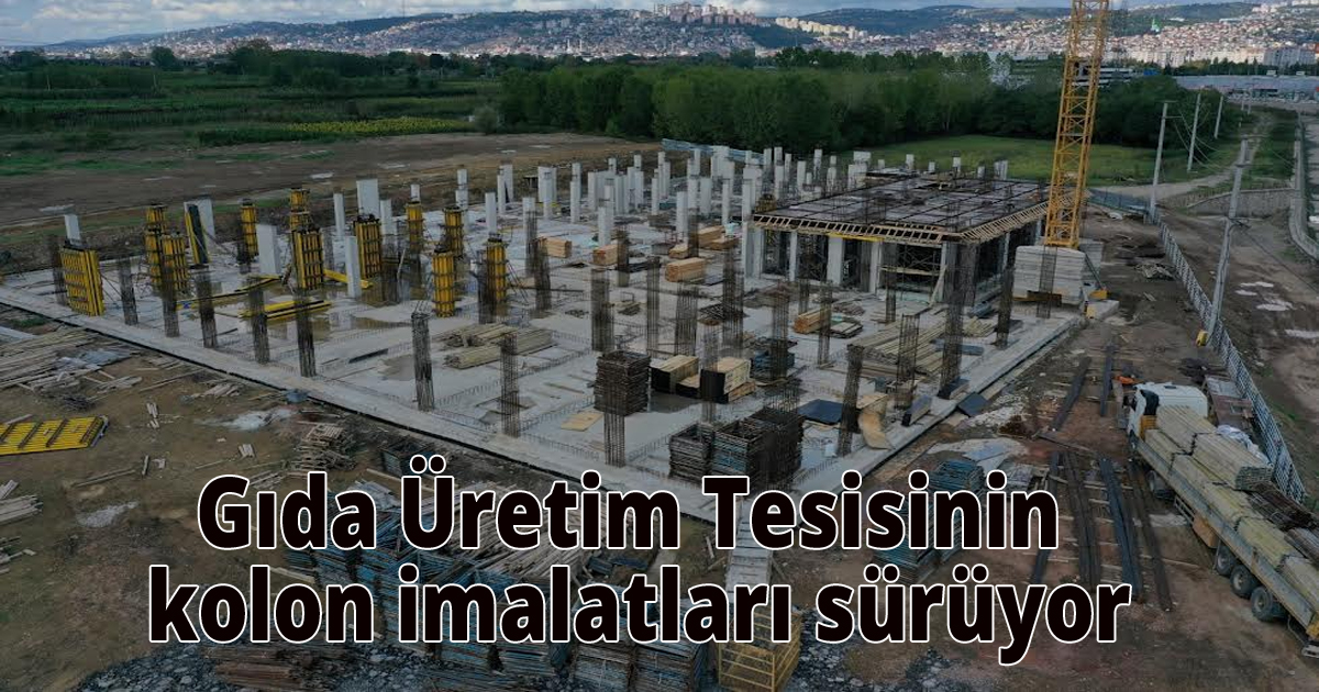 Gıda Üretim Tesisinin kolon imalatları sürüyor