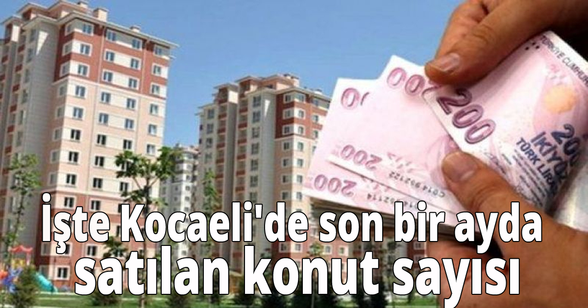 İşte Kocaeli'de son bir ayda satılan konut sayısı