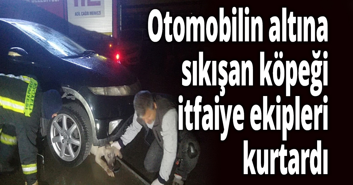 Otomobilin altına sıkışan köpeği itfaiye ekipleri kurtardı