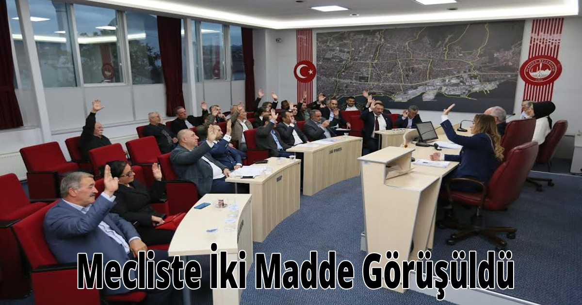 Mecliste İki Madde Görüşüldü