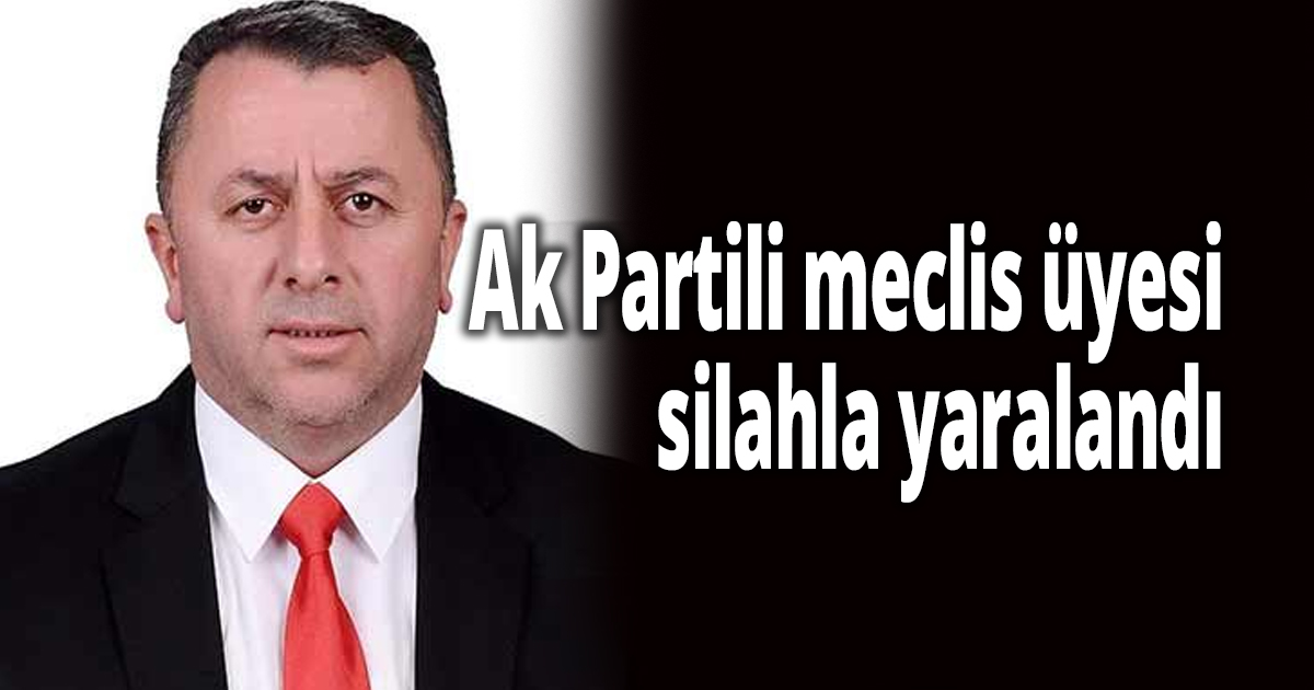 Ak Partili meclis üyesi silahla yaralandı
