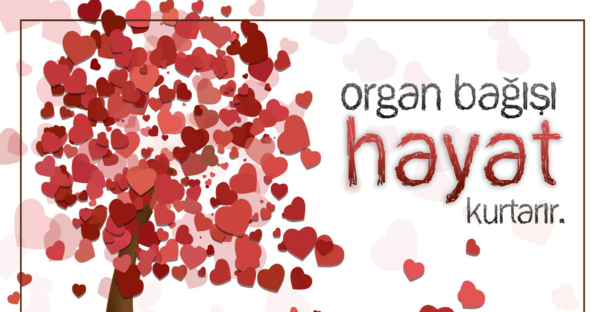 PEHLEVAN ORGAN BAĞIŞINA DAVET ETTİ