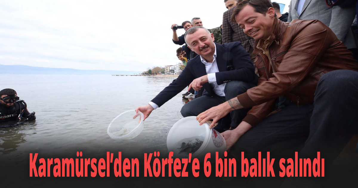 Karamürsel’den Körfez’e 6 bin balık salındı