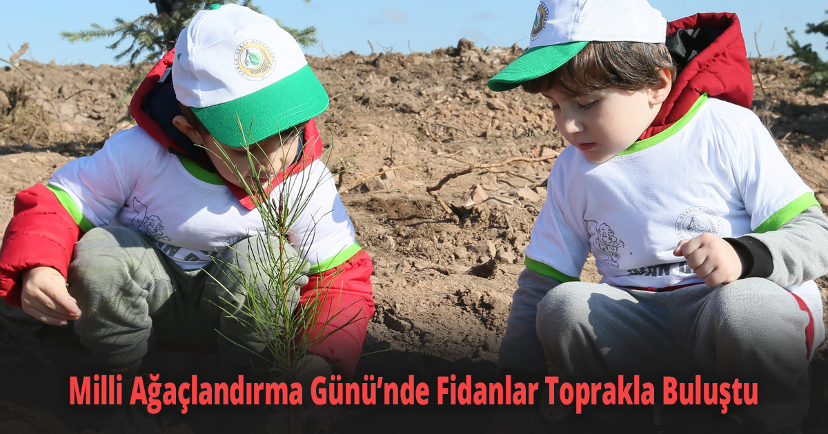 Milli Ağaçlandırma Günü’nde Fidanlar Toprakla Buluştu