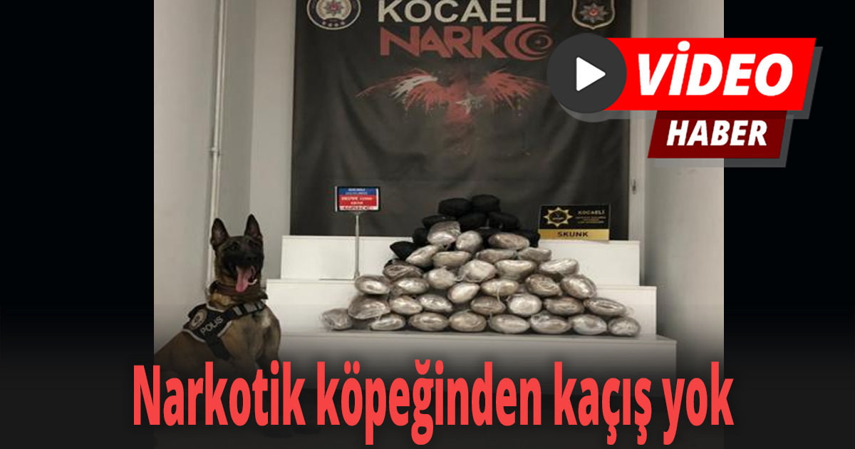 Narkotik köpeğinden kaçış yok