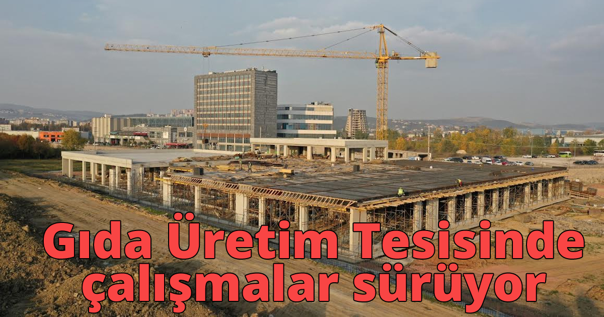  Gıda Üretim Tesisinde çalışmalar sürüyor