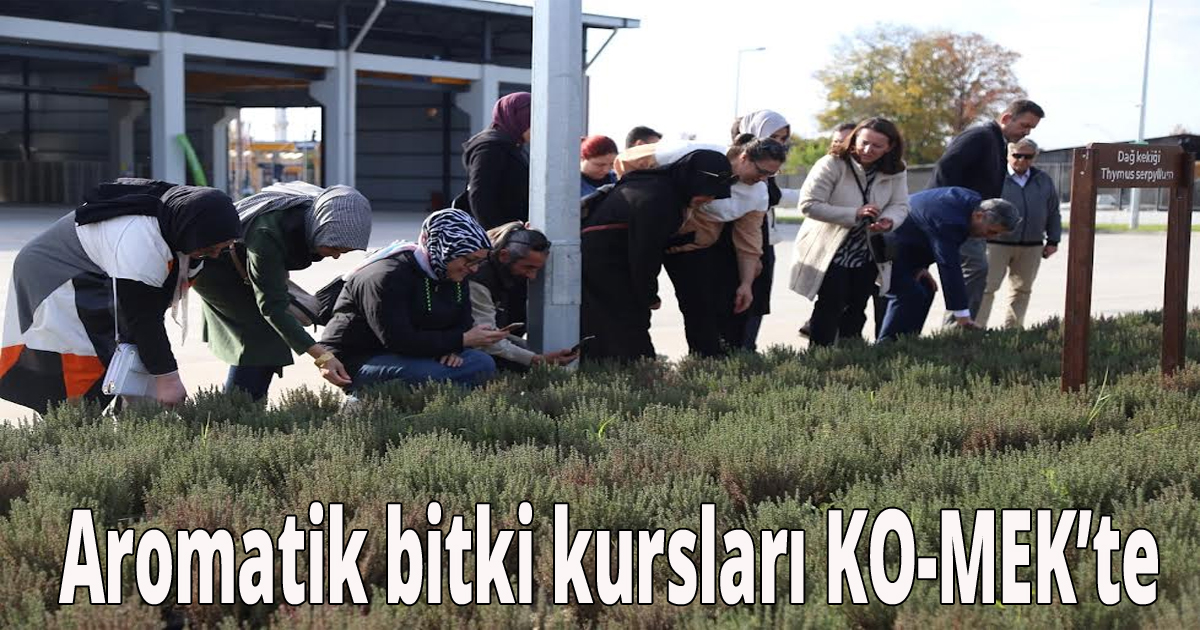 Aromatik bitki kursları KO-MEK’te