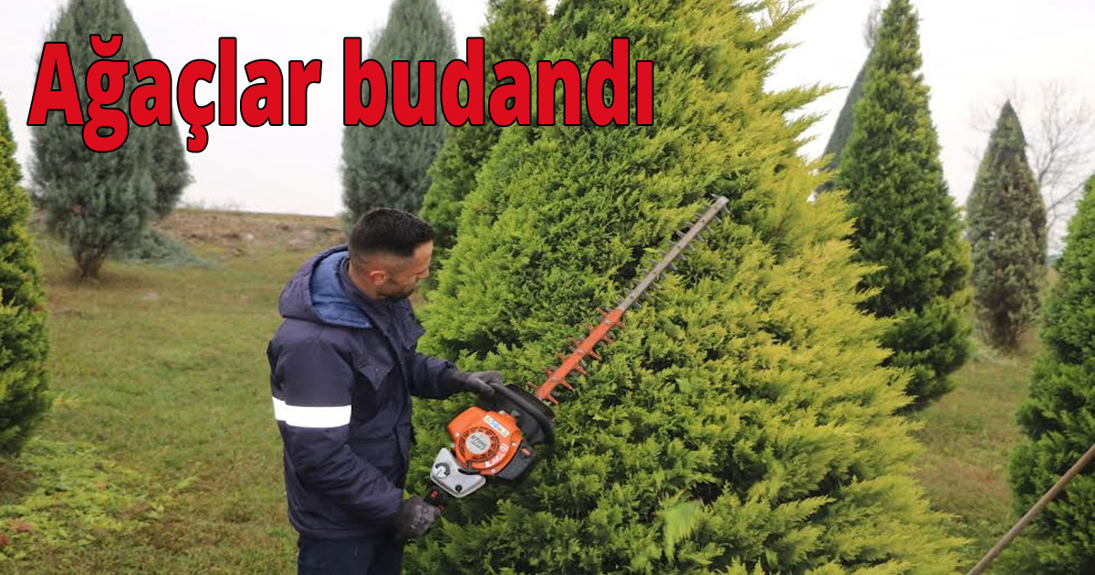 Suadiye Kavşağında ağaçlar budandı