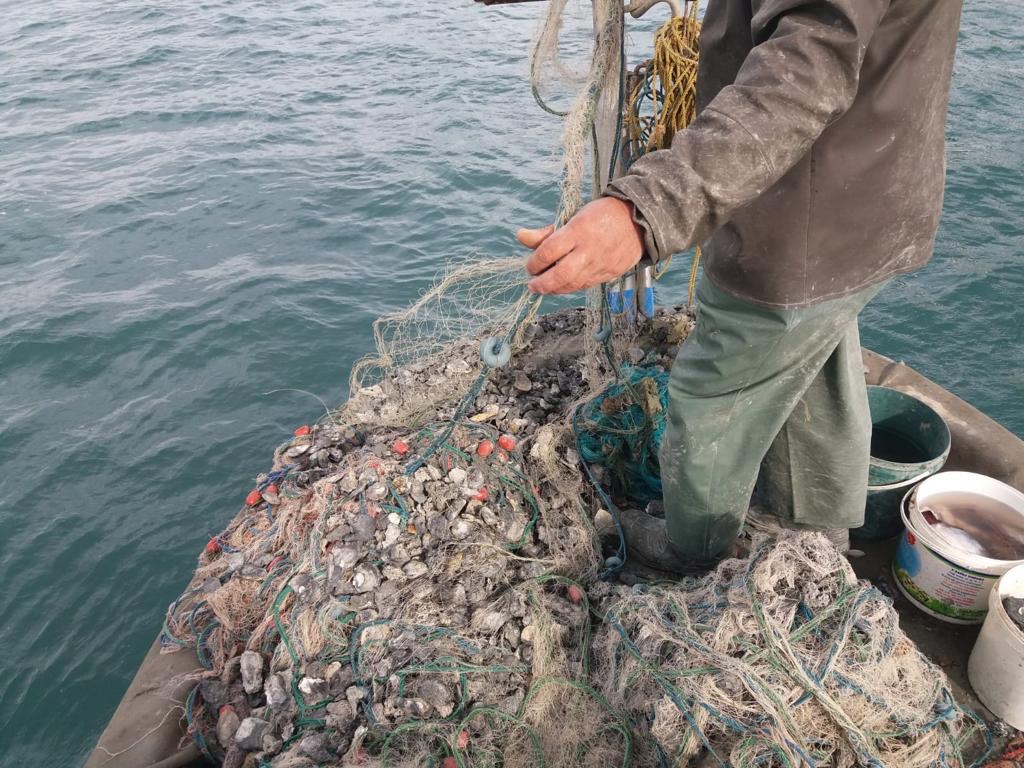 İZMİT KÖRFEZİNDEKİ DENİZ KATLİAMI TBMM GÜNDEMİNDE