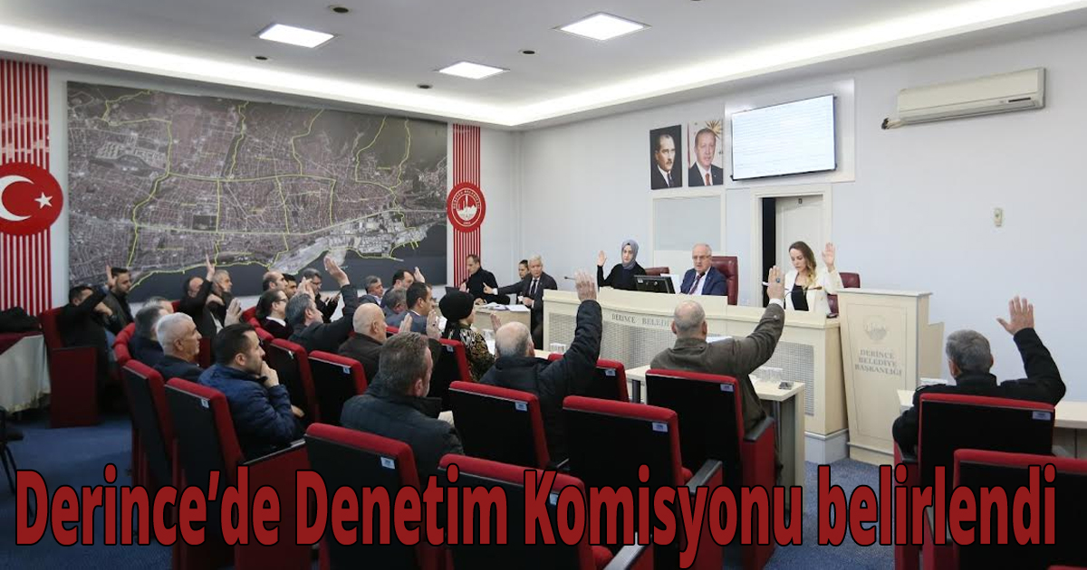Derince’de Denetim Komisyonu belirlendi