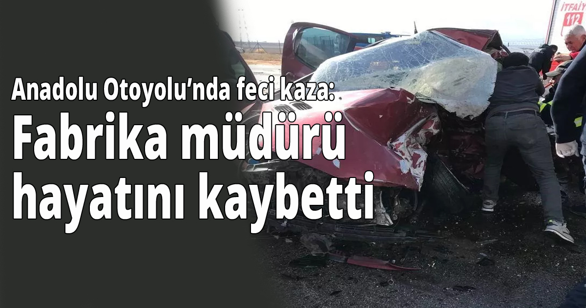 Anadolu Otoyolu'nda feci kaza:Fabrika müdürü hayatını kaybetti