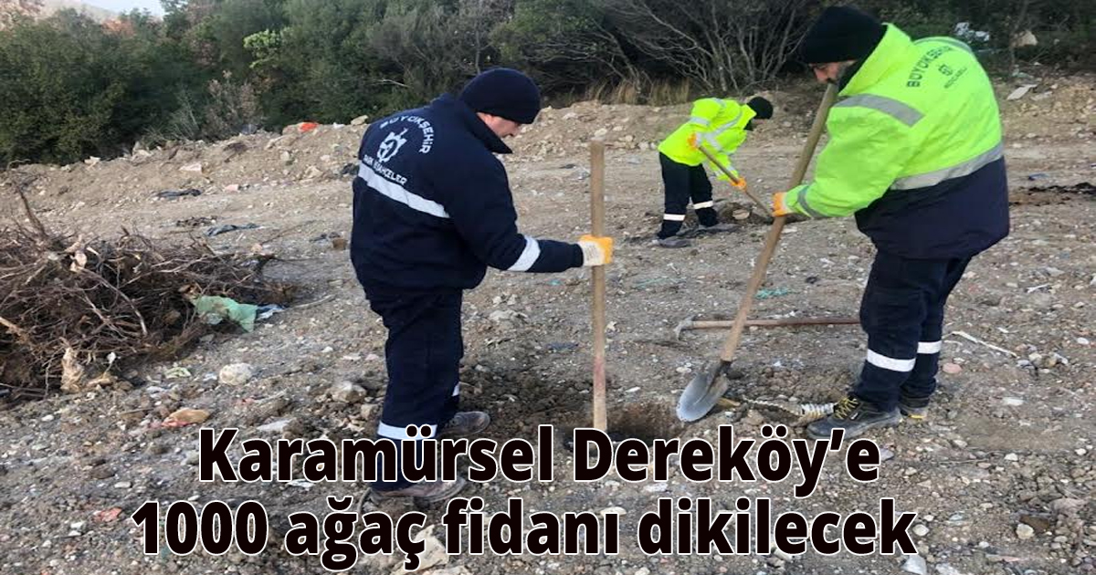    Karamürsel Dereköy’e 1000 ağaç fidanı dikilecek
