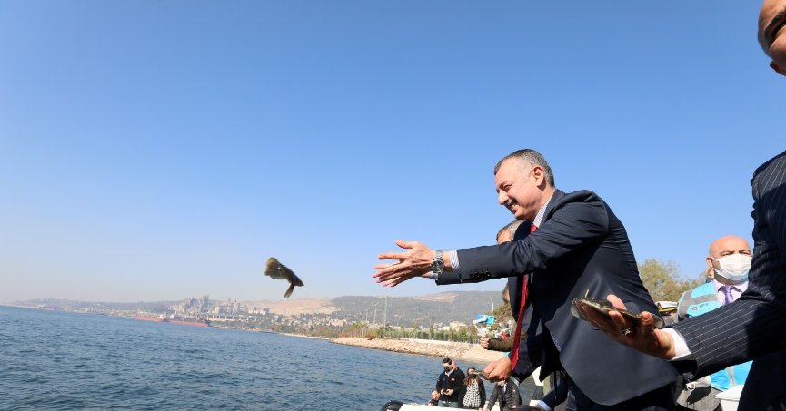 İzmit Körfezine 5 bin balık daha salınacak