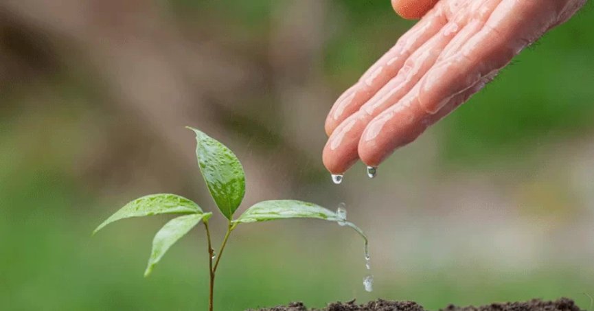 TARIMSAL SULAMA ÜCRETLERİNİN YÜZDE 50’Sİ DEVLET TARAFINDAN KARŞILANACAK