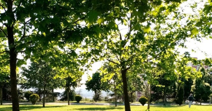 Yuvam Akarca'da bir şahıs ölü bulundu