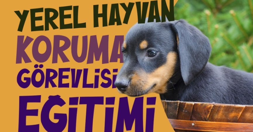 Hayvan Koruma Görevlisi Olmak İster Misin?