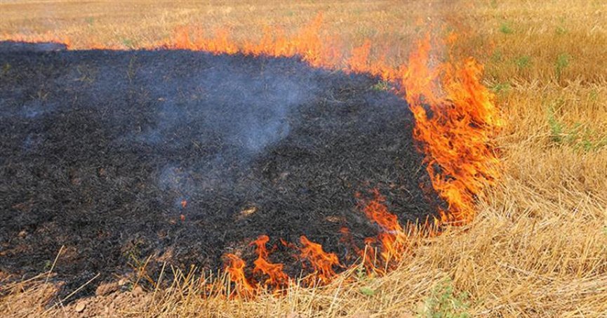Kocaeli’de anız yakmak yasaklandı!
