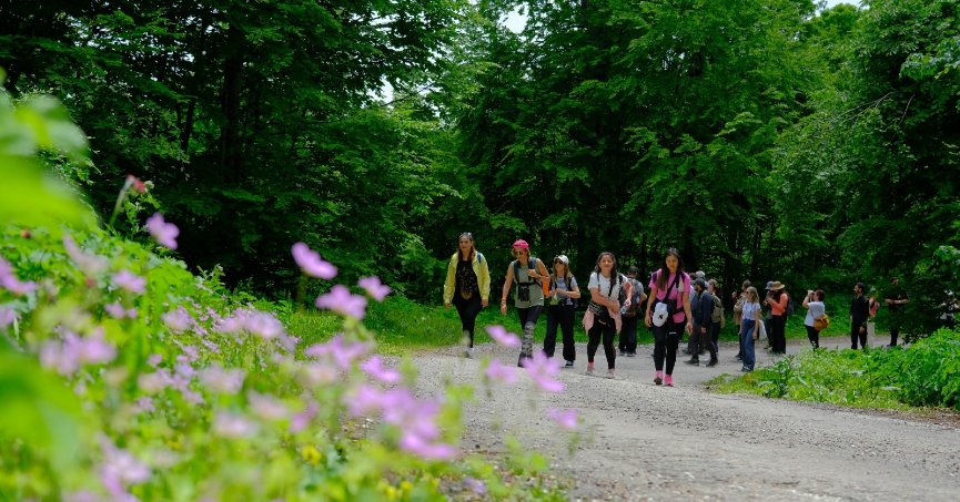 Doğaseverler “Tür Say” etkinliğinde buluştu